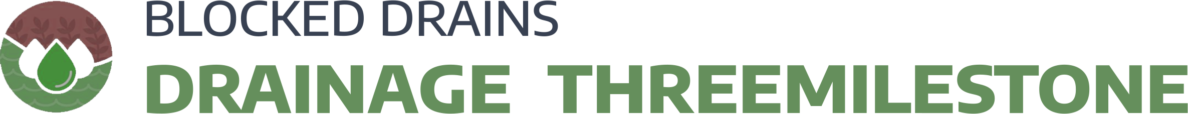 website logo